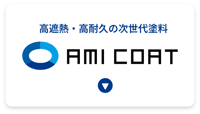 AMI COAT
