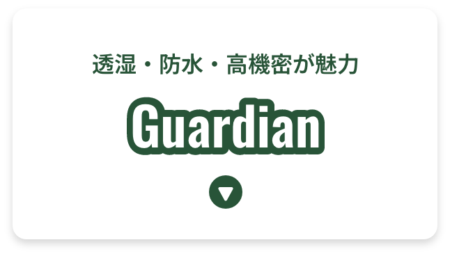 Guardian