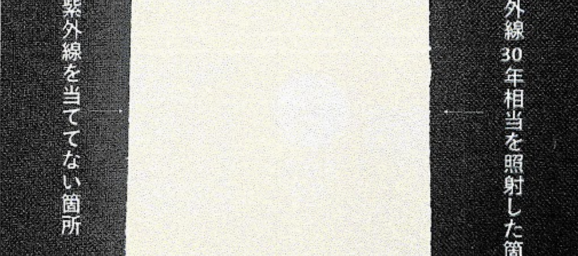 ラジカル発生を抑制