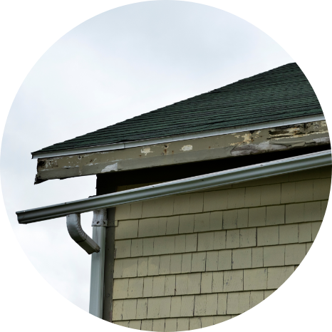 外壁や家の損傷を防ぐため